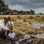 Farmer Crisis & Unseasonal Rains